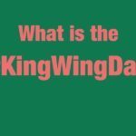 King Wing Dayの画像